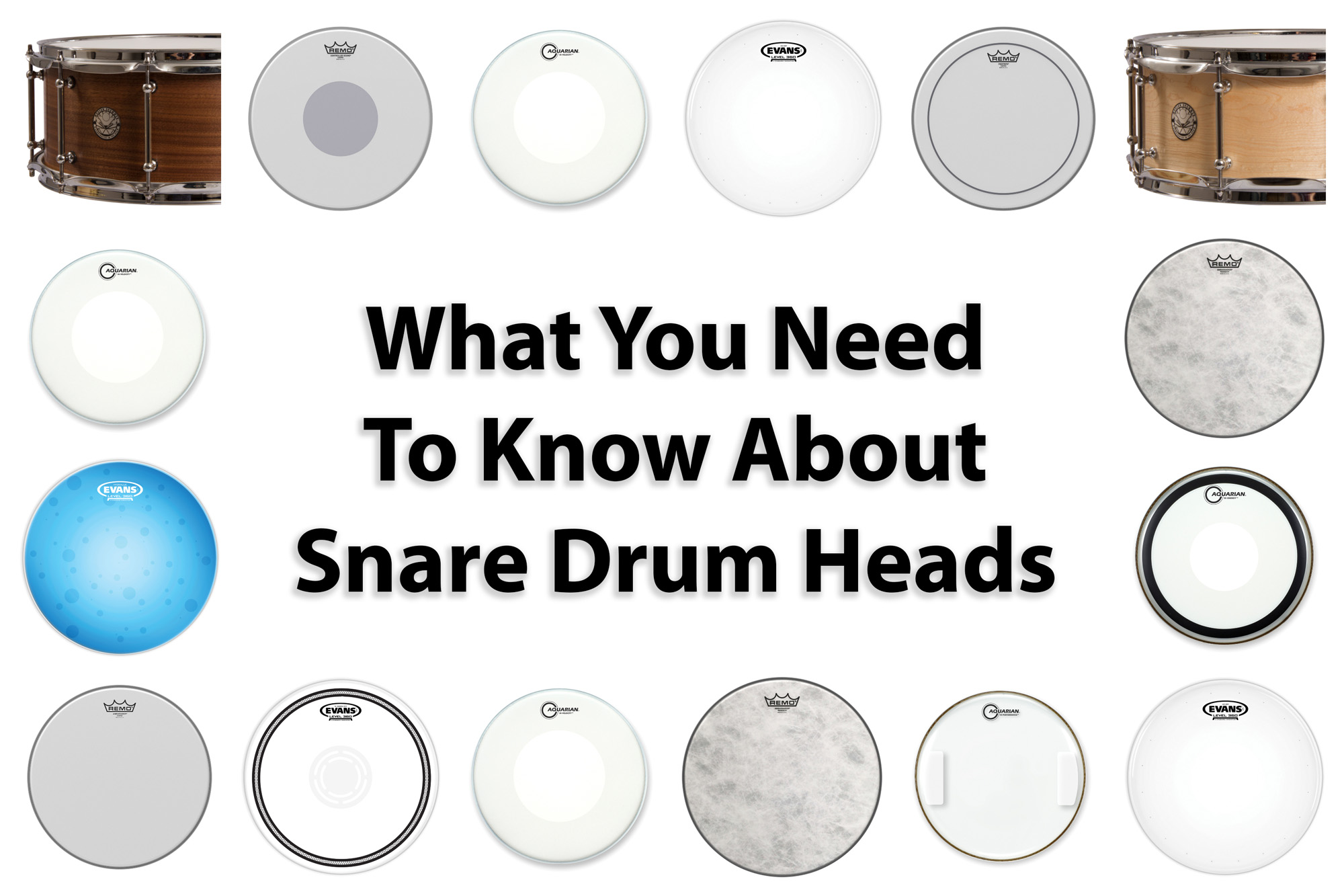 snare batter head