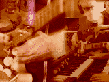 Oz Noy Album