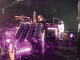 Alex Van Halen